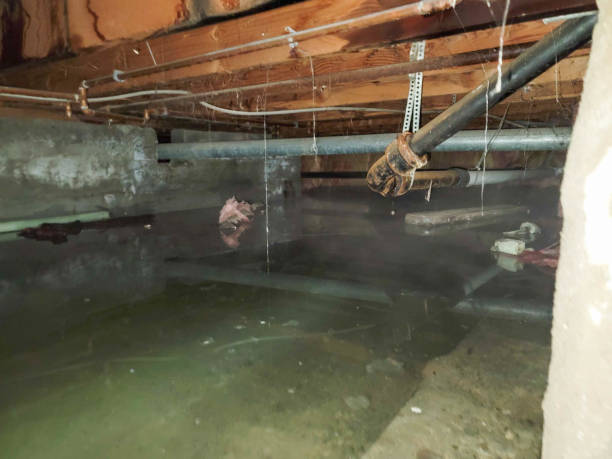 Best 24-hour water damage restoration  in Swainsboro, GA