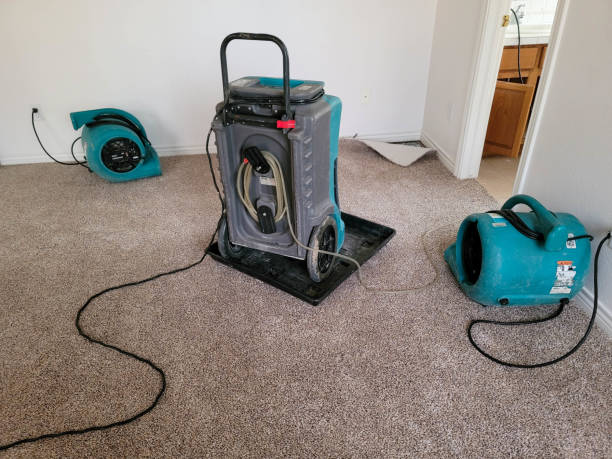 Best Water damage restoration near me  in Swainsboro, GA
