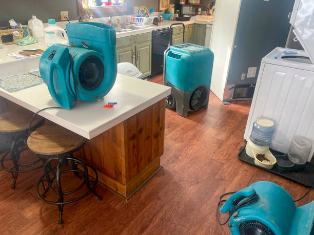 Best Water damage restoration services  in Swainsboro, GA