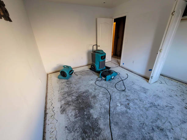 Best Water damage restoration near me  in Swainsboro, GA