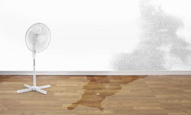 Best Flooded house restoration  in Swainsboro, GA