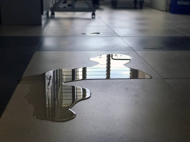 Best Commercial water damage restoration  in Swainsboro, GA