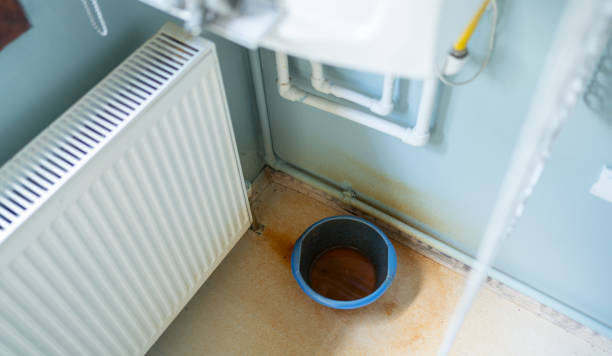 Best Water damage cleanup near me  in Swainsboro, GA