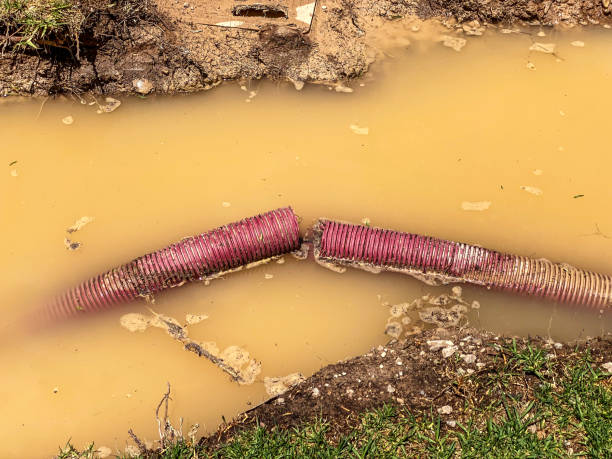  Swainsboro, GA Water damage restoration Pros