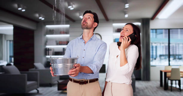 Best Basement water damage restoration  in Swainsboro, GA